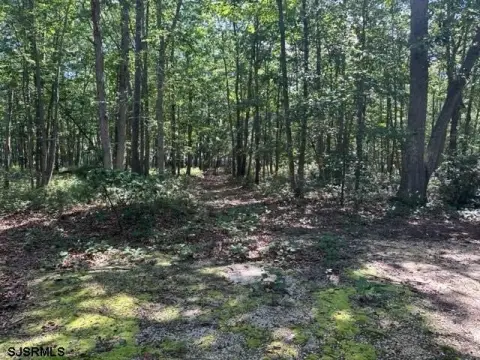 Galloway Township Commercial Lot
