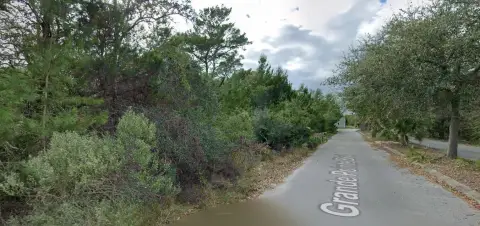 Inlet Beach Vacant Land