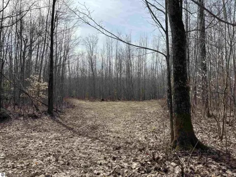 Wooded Land in Antrim County