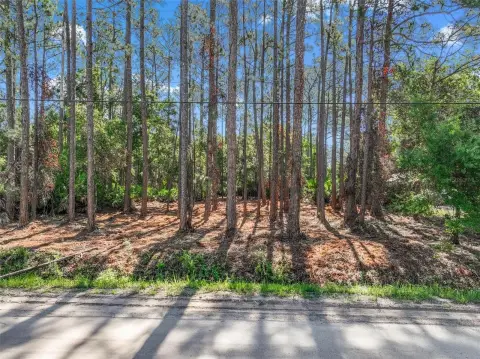 Cleared Land in Bunnell, Florida