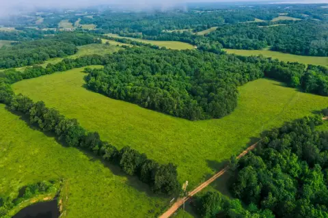 Fenced Waterfront Recreational Acreage