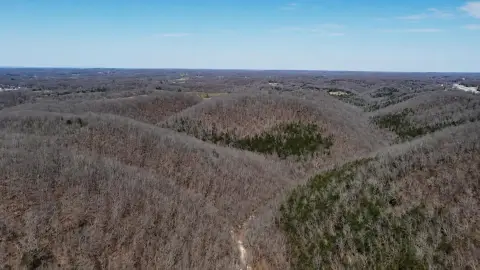Wooded Hunting Land with Highway Frontage