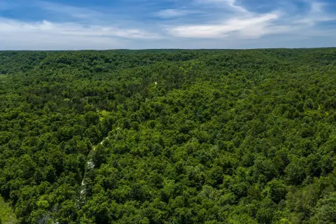 Heavily Wooded Hunting Land Tract