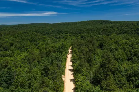 Heavily Wooded Hunting Tract