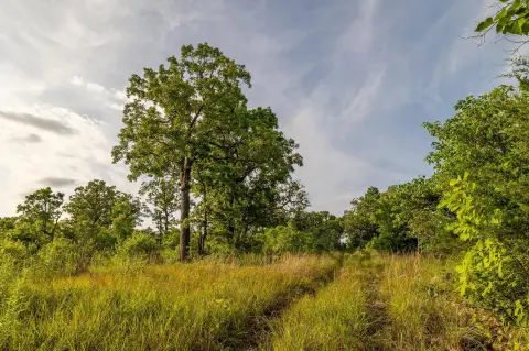 Waterfront Ranch Property with Acreage