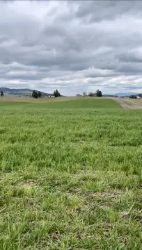 Leased Agricultural Land