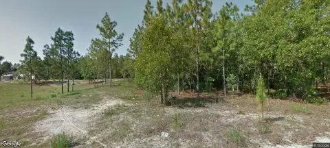 Citrus Springs Land Opportunity
