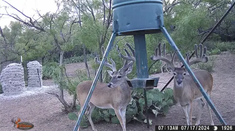 Turn-Key Hunting Ranch