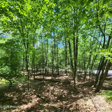 Residential Land in Tanglwood Lakes