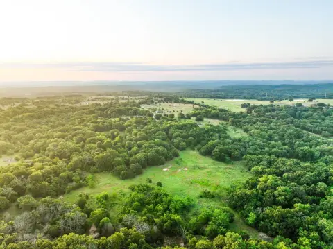 Recreational Hunting Land with Ponds