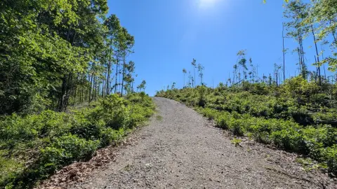 Recreational Vacant Land with Road Access