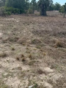 Residential Lot in Lehigh Acres