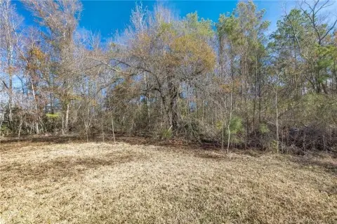 Residential Land in Moss Bluff