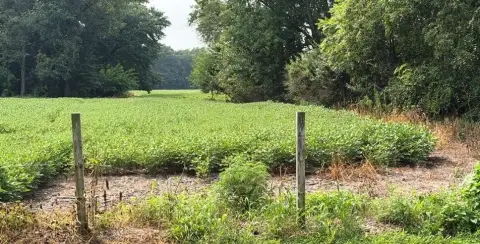 Farmland with Woods and Water