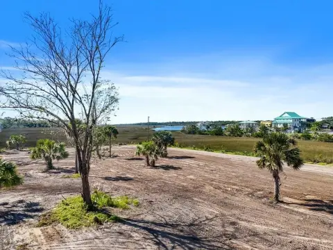Serene Steinhatchee Acreage with Marsh Views