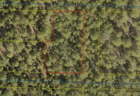 Wooded Residential Land Lot