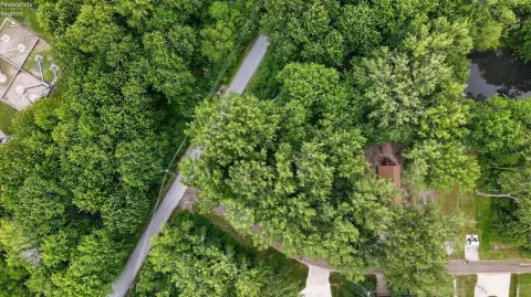 Buildable Island Lot