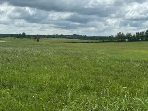 Vacant Land in London, KY