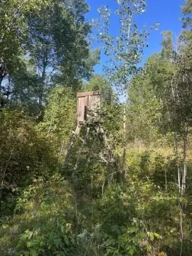 Wooded Hunting Land