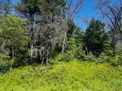 Recreation Land with M-37 Frontage