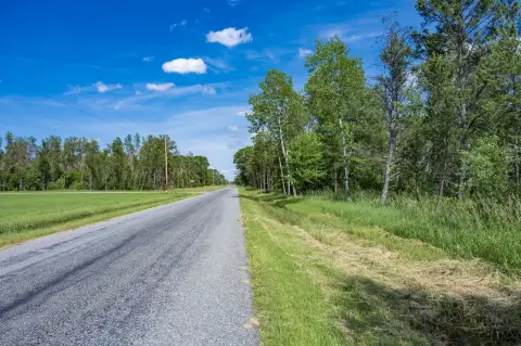 Recreational Hunting Land with Wetlands
