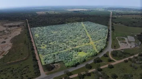 51.24 Acres Ready for Outdoorsman