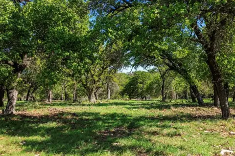 High-Fenced Hill Country Hunting Tract
