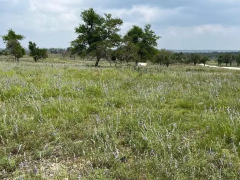 Harper, TX Wooded Land Tract
