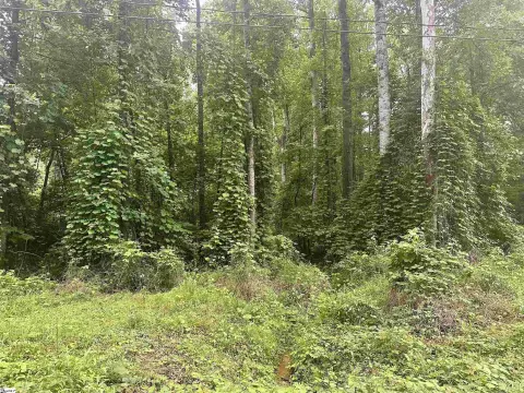 Corner Residential Building Lot
