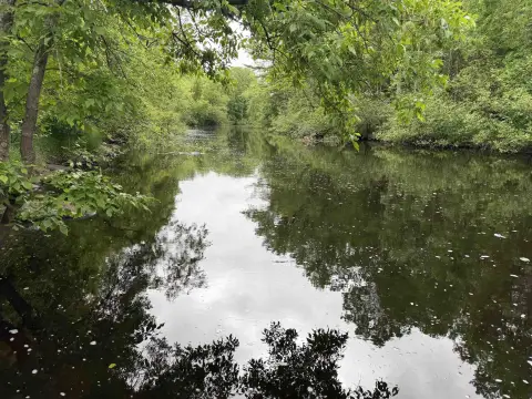 Wooded Riverfront Retreat Land