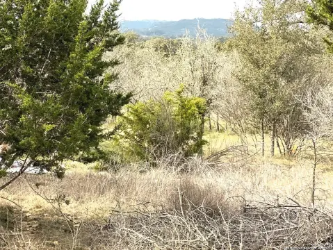 Land Near Medina Lake