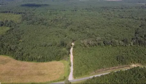 Recreational Hunting Timber Tract