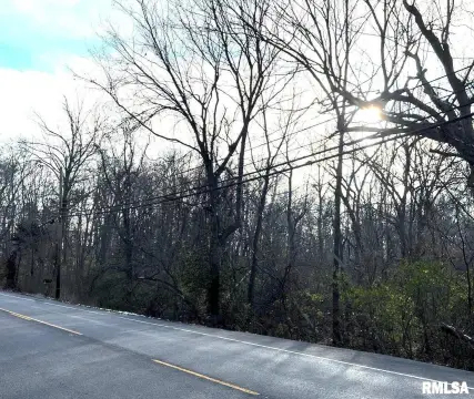 Wooded Land Parcel in Carbondale