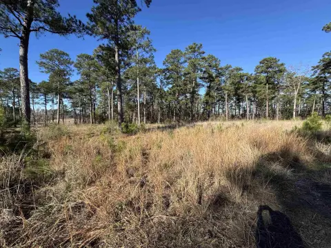 Waterfront Lot in Sam Rayburn