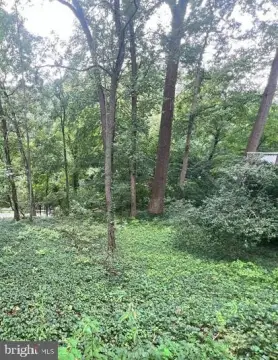Land Along Sligo Creek Parkway