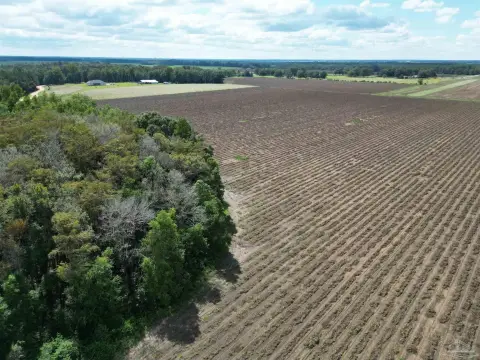 Row-Crop Farmland with Hardwood Woods