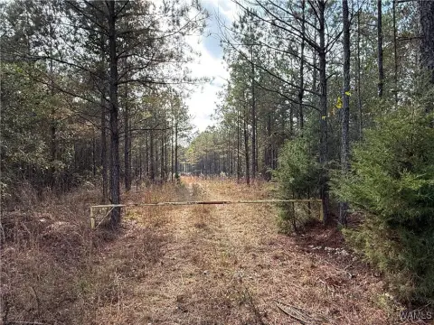 33 Acres of Land, Vernon