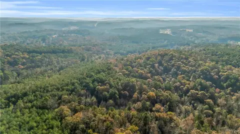 Vernon, AL Land For Sale