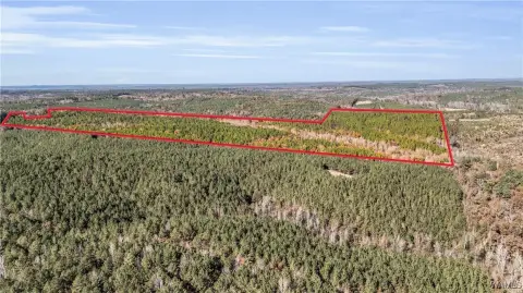 Alabama Land with Timber Investment