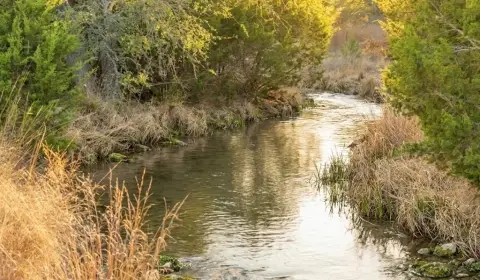 Fredericksburg Ranch Land with Views