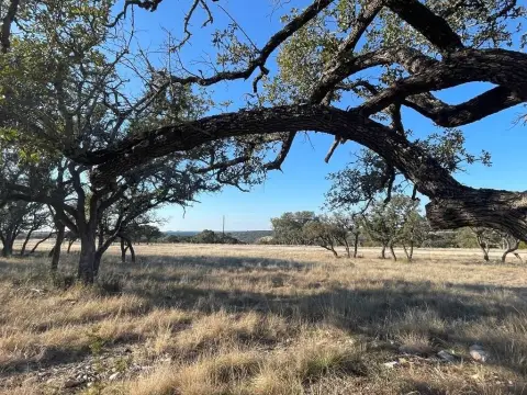 Oak Covered Ag Exempt Lot