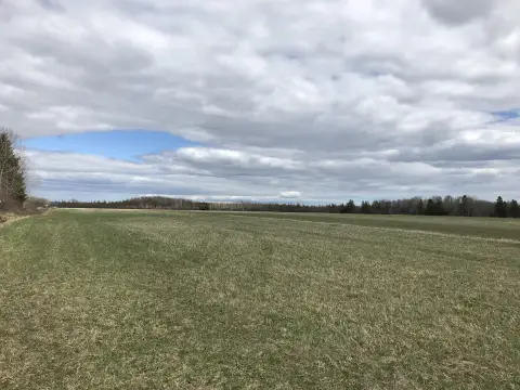 20 Acres in Pickford, MI