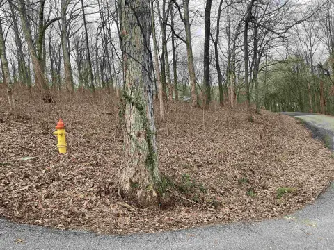 Residential Lot in Russellville, AL