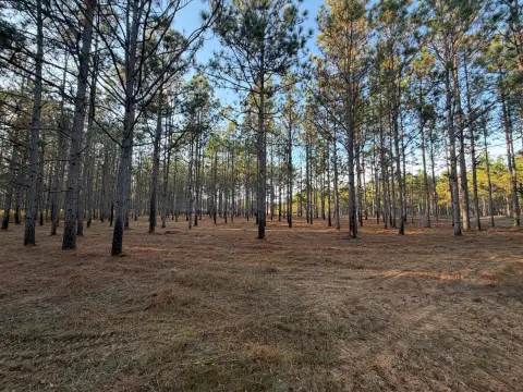 Land Near Troy, Alabama
