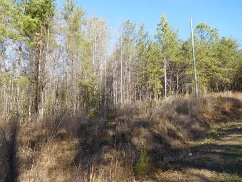 84+ Acres Unrestricted Land, Gaffney