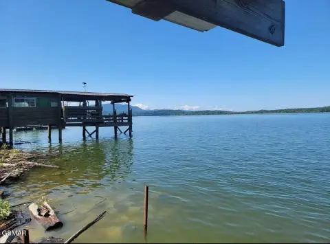 Lakefront Camping Site on Douglas Lake