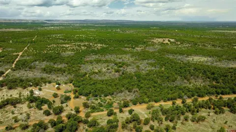 Secluded Mountain Land with Hunting Cabin