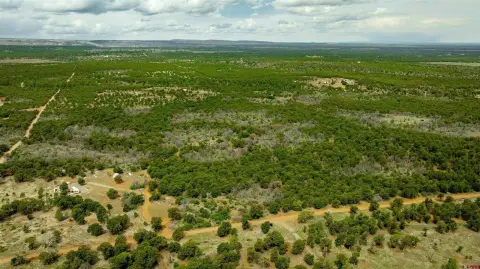 Hunting Land with Cabin