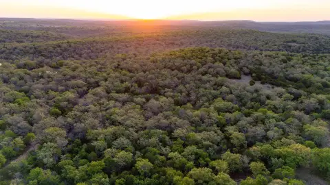 Ag-Exempt Hill Country Ranch Land