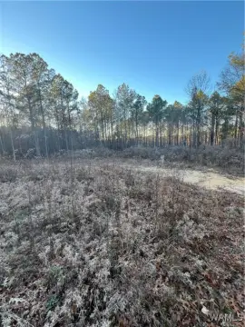 Secluded Wooded Homesite Opportunity